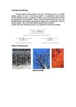 Konspekts 'Fraktāļi', 2.