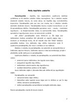 Prakses atskaite 'Prakses atskaite grāmatvedībā', 17.