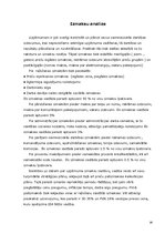 Prakses atskaite 'Prakses atskaite grāmatvedībā', 26.