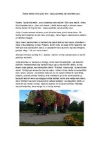 Eseja 'Domraksts latviešu valodā', 1.