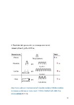 Referāts 'Senie uzdevumi matemātikā', 14.