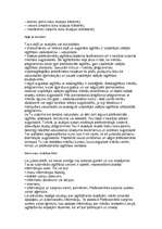 Referāts 'Profesijas', 7.