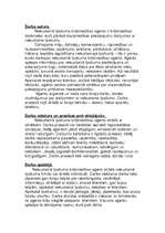 Referāts 'Profesijas', 9.