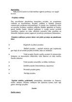 Referāts 'Profesijas', 10.