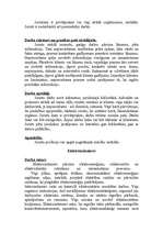 Referāts 'Profesijas', 12.