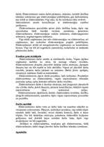 Referāts 'Profesijas', 13.