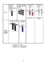 Referāts 'Sporta dejas - hobijs vai sports?', 30.
