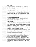 Referāts 'Summary about the Text "Marketing Plan"', 2.