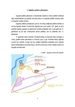 Referāts 'Sigulda', 4.