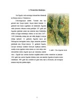 Referāts 'Sigulda', 5.