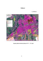 Referāts 'Sigulda', 11.