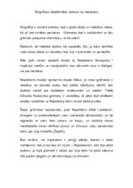 Referāts 'Napoleons', 6.