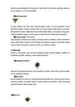 Referāts 'Telpaugu neredzamā enerģija', 3.