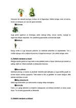 Referāts 'Telpaugu neredzamā enerģija', 9.