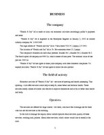 Biznesa plāns 'Business Plan Content', 2.