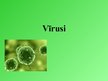Prezentācija 'Vīrusi', 1.