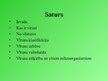 Prezentācija 'Vīrusi', 2.