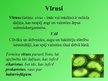 Prezentācija 'Vīrusi', 4.
