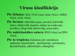 Prezentācija 'Vīrusi', 7.