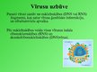Prezentācija 'Vīrusi', 8.