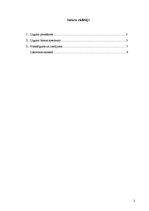 Referāts 'Līguma saturs', 2.