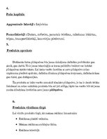 Paraugs 'Biznesa plāna finanšu daļa', 2.