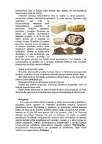 Konspekts 'Arējā siltumizolācija', 3.