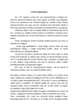 Biznesa plāns 'Biznesa plāns', 7.