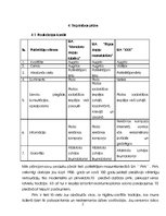 Biznesa plāns 'Biznesa plāns', 11.