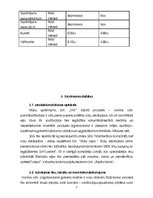 Biznesa plāns 'Biznesa plāns', 13.