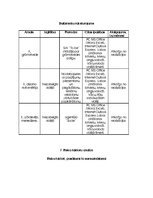 Biznesa plāns 'Biznesa plāns', 17.