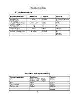 Biznesa plāns 'Biznesa plāns', 19.