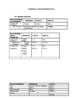 Biznesa plāns 'Biznesa plāns', 20.