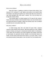 Referāts 'Krāsu psiholoģija reklāmās', 2.