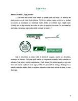 Referāts 'Krāsu psiholoģija reklāmās', 6.