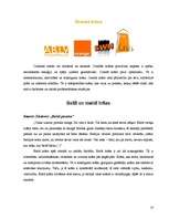 Referāts 'Krāsu psiholoģija reklāmās', 10.