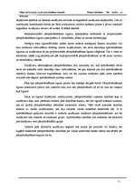 Referāts 'Pārapdrošināšana. Tās būtība un dalībnieki', 11.