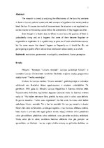 Referāts 'Koncepts ''Likums nestrādā'' Latvijas juridiskajā kultūrā', 3.