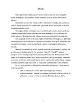 Referāts 'Digitālā grāmatvedība', 3.