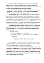 Referāts 'Digitālā grāmatvedība', 5.