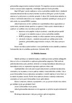 Referāts 'Digitālā grāmatvedība', 10.