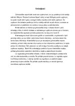 Referāts 'Digitālā grāmatvedība', 15.