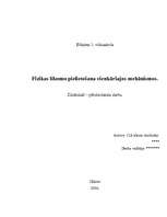 Referāts 'Fizikas likumu pielietošana vienkāršajos mehānismos', 1.