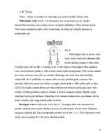 Referāts 'Fizikas likumu pielietošana vienkāršajos mehānismos', 12.