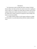 Referāts 'Fizikas likumu pielietošana vienkāršajos mehānismos', 21.