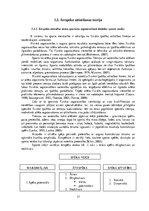 Diplomdarbs 'Kāju muskulatūras ātrspēka attīstīšana ar svarbumbu sporta līdzekļiem', 17.