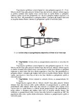 Diplomdarbs 'Kāju muskulatūras ātrspēka attīstīšana ar svarbumbu sporta līdzekļiem', 63.
