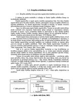 Diplomdarbs 'Kāju muskulatūras ātrspēka attīstīšana ar svarbumbu sporta līdzekļiem', 118.