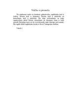 Biznesa plāns 'SIA "Ziedu veltes"', 5.