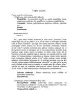 Biznesa plāns 'SIA "Ziedu veltes"', 6.